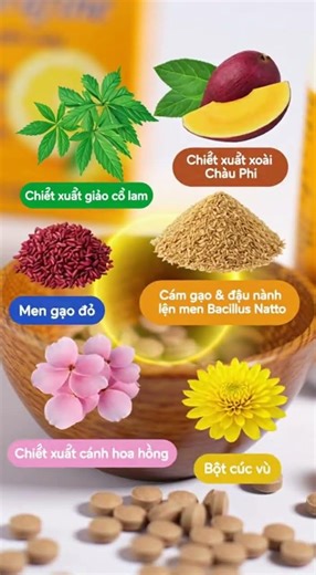 Viên uống hỗ trợ giảm mỡ máu Sarafine Fujina (Hộp 80 viên)