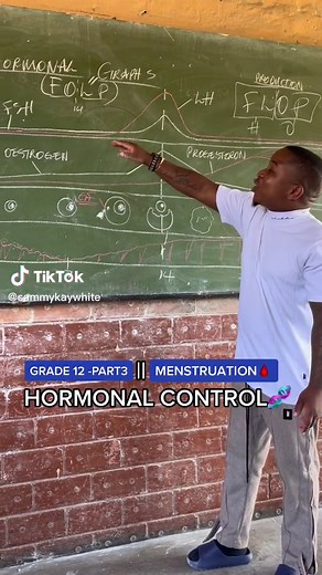 Understanding the Human Menstrual Cycle in Grade 12 Life Sciences
