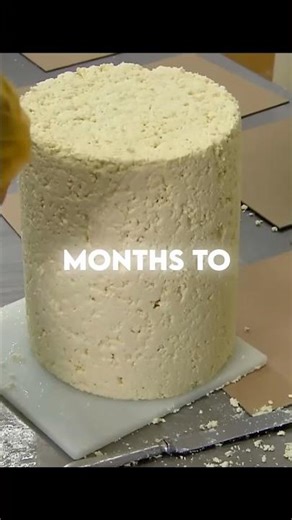 Blue Cheese: Delicious or Disgusting?👀 #cheese #interestingfacts #discover #shorts