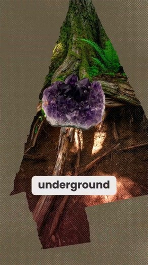 What is the meaning of Paganism in our modern world, Today? #paganlife #paganbeliefs #pagans #pagan