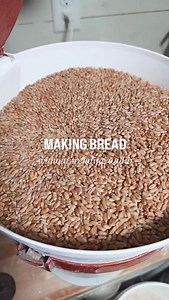 A peek into the process... DAY 1: •Grind organic whole wheat berries into flour •Sift out some bran •Build up the starter Grind your flour fresh to maintain all of the nutrients and minerals, improve flavor, and avoid rancid oils. Day 2 will be mixing up the actual dough! Day 3 will be baking day! (We allow the dough to rest in the fridge for 24 hours to ferment, which creates an easily digestible loaf of bread, that is not only delicious, but good for your health, and your teeth!) Comment "brea