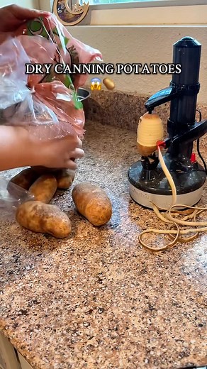 Ashlie | My Basic Homestead | The easiest potatoes you’ll ever make! I have an “approved” recipe for Herb Potatoes coming up too. Both are delicious and neither are... | Instagram