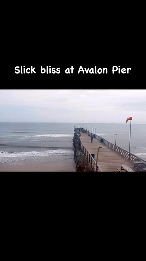 A beautiful day at Avalon, slick ocean and good fishing! | Outer Banks