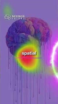 Multimodality: One Brain, Many Lenses | #Multimodality #BrainResearch #EEG #fMRI