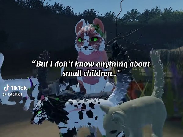 Warrior Cats Animation and Training Schedule Insights