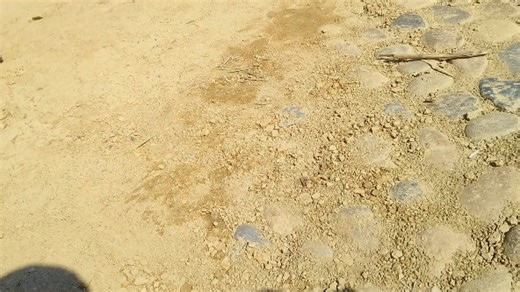 Crossrc SG4 RTR硬壳攀爬车年前小爬