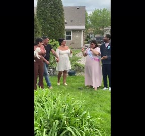 Gender reveal: dogs painted blue unveil baby's gender