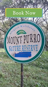 43 reactions | Going to nature is good for both you and the...