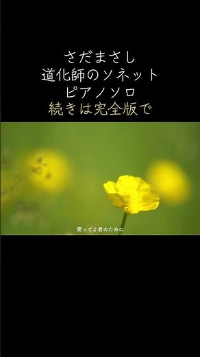 ショート さだまさし 道化師のソネット 再アップ ピアノソロ ピアノカバー #bgm #さだまさし #道化師のソネット