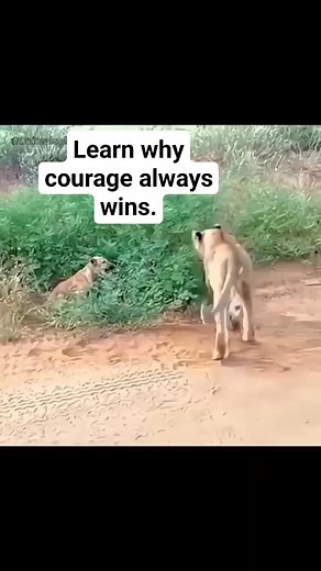 Samuel M Terese on Reels