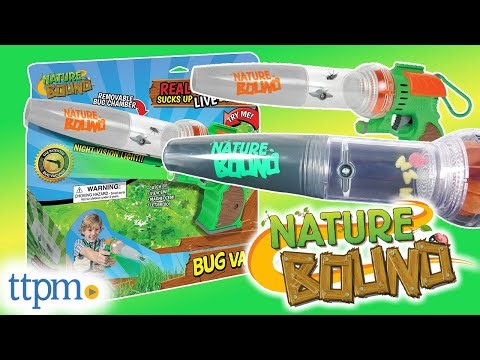 Easy Way to Explore Bugs In Your Backyard!