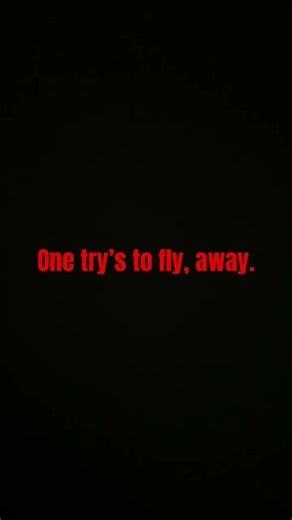 The ending message 😭🥲