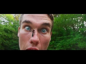 Just Joshing - Friends With a Wasp (Official Music Video)