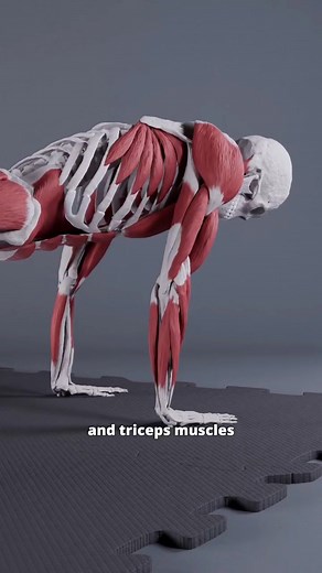 5.9K views · 76 reactions | Push Ups are à great and effective...