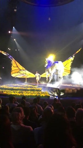 Circus of the sun luzia in Miami