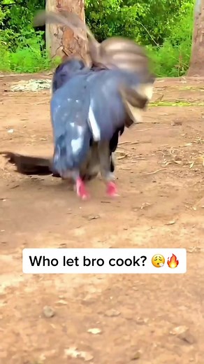 Unbelievable Breakdance Battle!