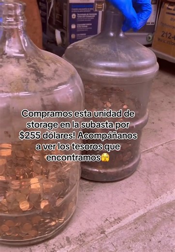 Discovering Hidden Treasures at Storage Auctions