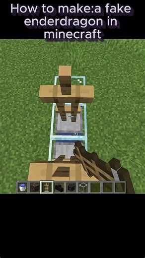 How to make:a fake enderdragon in minecraft