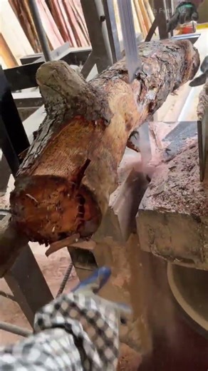 Powerful Log Cutting Technique Using Vertical Bandsaw for Smooth Wood Processing