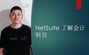 NETSUITE 了解会计科目 CHART OF ACCOUNTS