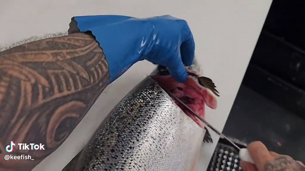 Master Fish Filleting Techniques with Atlantic Salmon