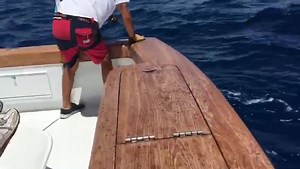 101K views · 1.7K reactions | Video from yesterday on Haulin Gas of a catch and release of a Blue Marlin. | Oregon Inlet Fishing Center | Facebook