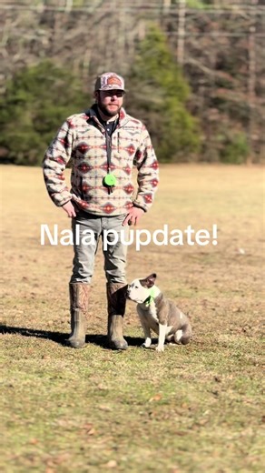 Nala is doing fantastic and getting super close to graduating! #holtstrainingacademy #dogsoftiktok #dogsofinstagram #dog