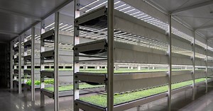 ADQ's AgTech Park begins operations with opening of vertical farm | The National