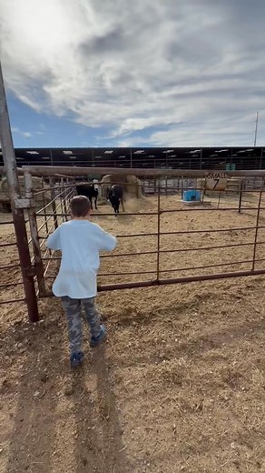 Mak is taking on the bull!! | Amy Floyd