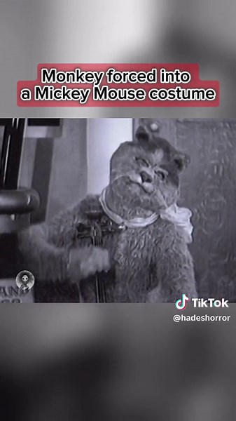 Unsettling Monkey in Mickey Mouse Costume Footage
