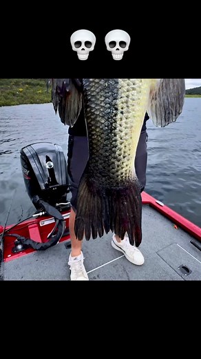 Giant Bass en guidage 💪🏻🔥🇪🇸 @sejour_de_peche_ @decathlon__fishing #pêche #fishing🐟 #largemouthbassfishing #largemouthbass #bassboat #fishinglife | Rémy Ménéguz