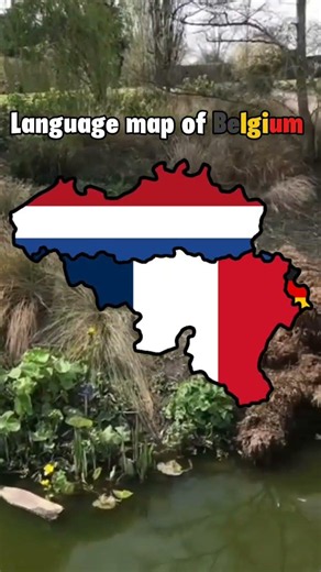 Language map of Belgium. #mapping
