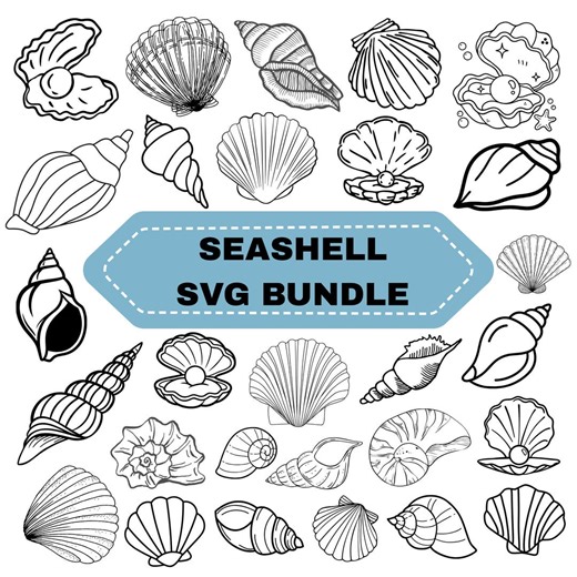 Seashell SVG Bundle: Beach Clipart, Sea World Cut Files (digital Download) - Etsy