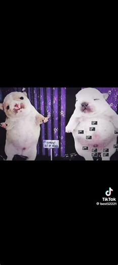 #five nights at freddy's #perritos#fnf#canción de five nights at freddy's