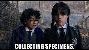 Collecting specimens.