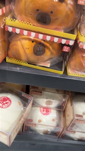 Meet #capy at China #capybara #bara #卡皮巴拉 #kapibara