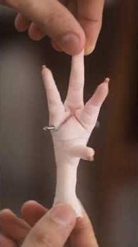 Building an X-RAY machine from scratch! #chemistry #education #satisfying