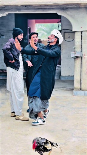Abe Ne Program War Diya: Funny Moments and Jhumar