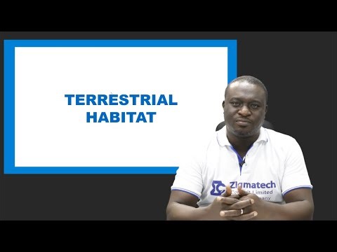 BIOLOGY | TERRESTRIAL HABITAT | EXAM GUIDE | LEARNING HUB | ZIGMATECH CONSULT LIMITED |EXAM |SCIENCE