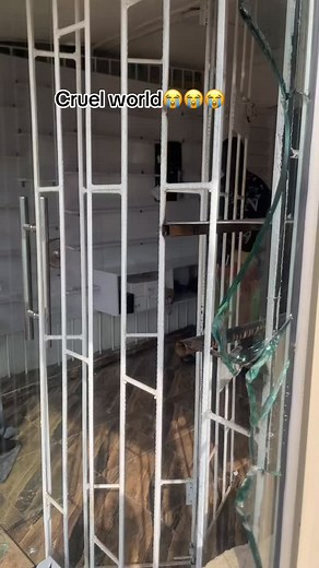 7.2K views · 378 reactions | THIS IS SO HEARTLESS! A well-finished and fully stocked shop she opened less than a month ago is being emptied by thieves. This is inhuman.  Someone will hustle, gather money to start building up her life, and some demons in one corner will just decide to strip it all away within a minute. This is heartlessness. | Ameboloversgist | Facebook
