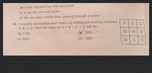 (b) A line segment has one end point. (c) A ray has one end poi... | Filo