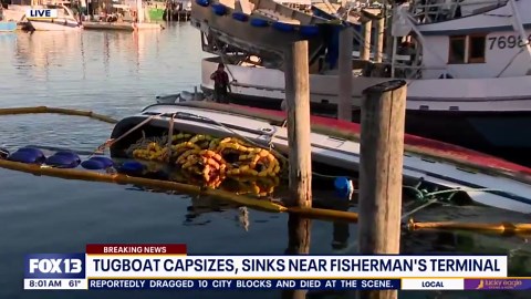 Tugboat capsizes, sinks near Seattle terminal