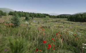 unity商城素材-Meadow Environment - Dynamic Nature