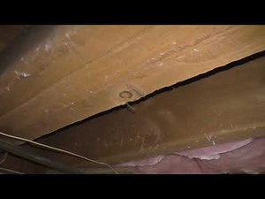 Repairing My ROTTED Sill Plate and Joist Ends