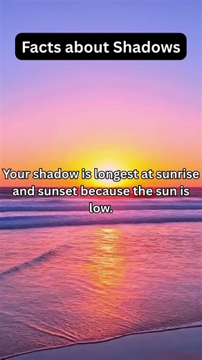 Facts about Shadows