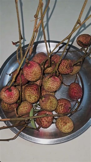 Fresh lychee = summer perfection ☀️🍃#lychee#fruit#summer#summerfruit