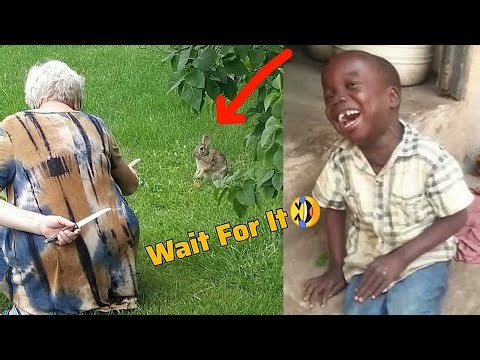 150 Funniest Videos On The Internet || Try Not To Laugh Impossible Ep 2