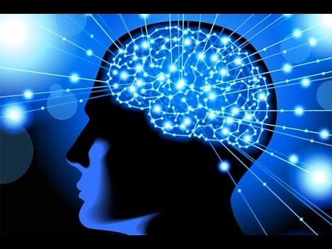 How to Rewire & Evolve Your Brain to Experience a New Reality - Dr. Joe Dispenza