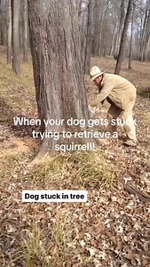 It was a dogwood tree, you could tell by the bark. TikTok credit (thechad00Obuck) | The Lindsey Way