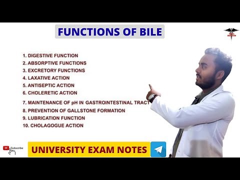 Functions of Bile || Digestive System physiology